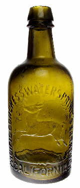 1870s Western American "Saratoga" style bottle; click to enlarge.