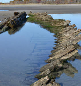 Wrecks in the Sand: The Potential Relationship Between Beached Shipwrecks and Climate Change