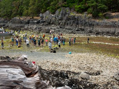 Micro-Climate Blog: Building Care and Knowledge of Place through Community Archaeology