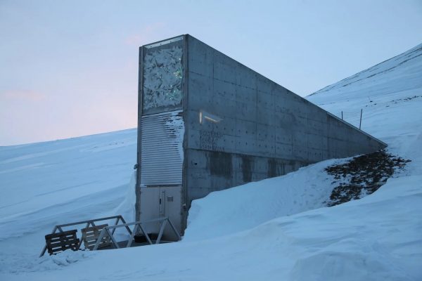 Building embedded in snow covered mountain.